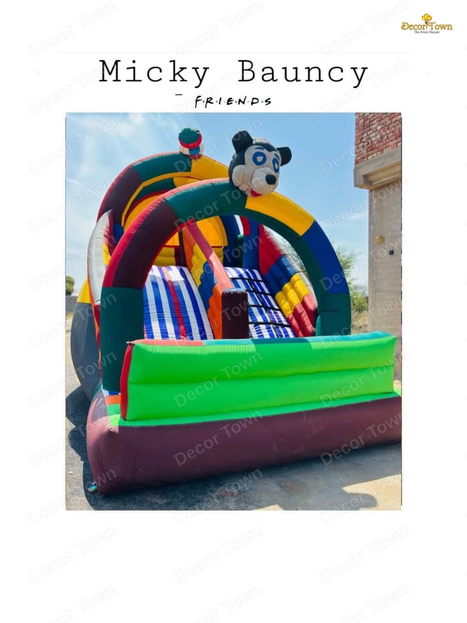 Mickey Bouncy