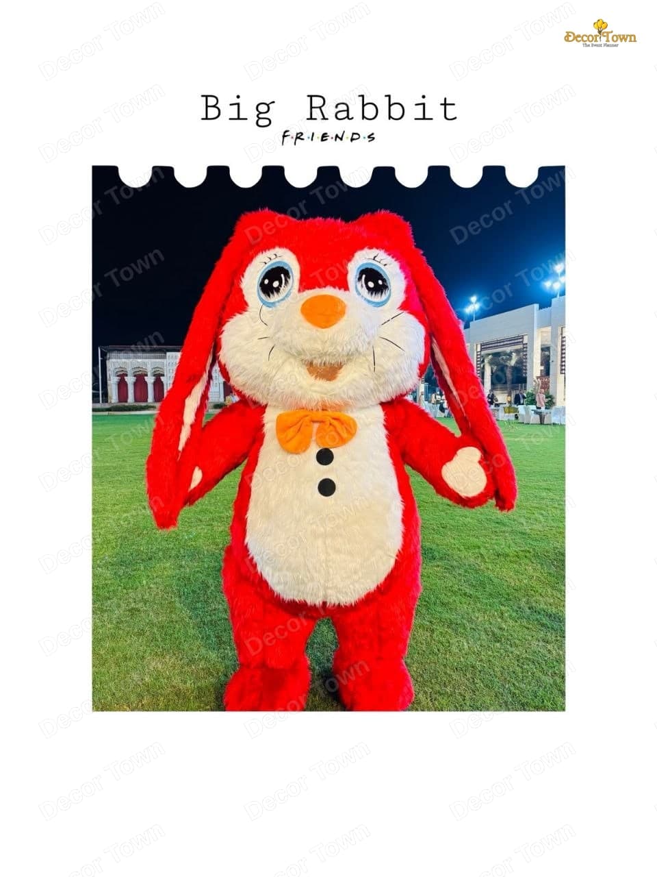 Big Rabbit