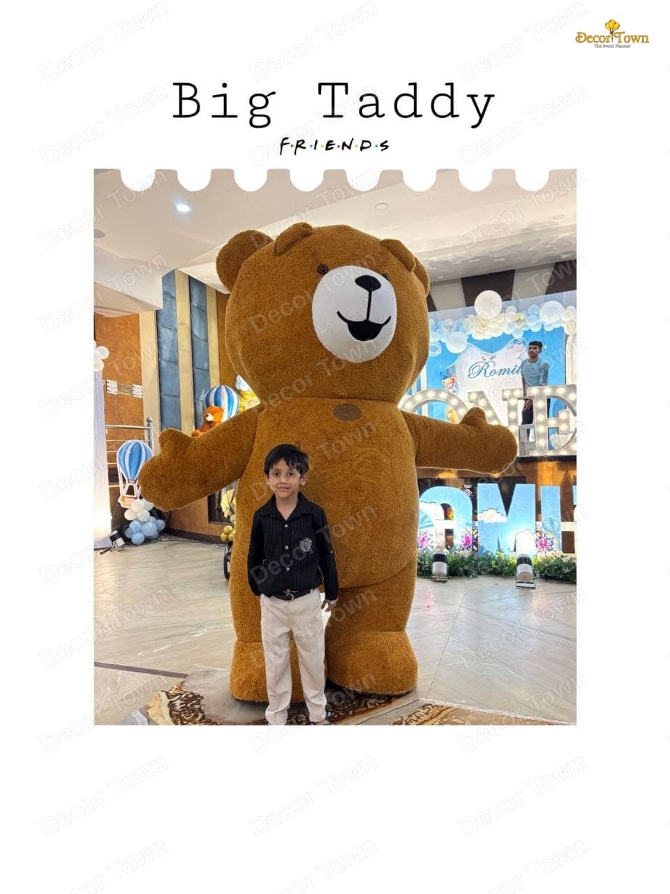 Brown Teddy